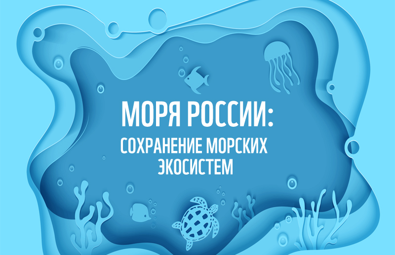 d7e70dcab6770482061c08bb49dea3d4.jpg